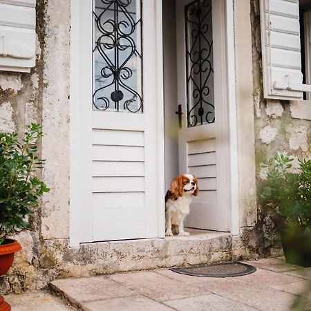 White Shutters House Villa Risan Ngoại thất bức ảnh